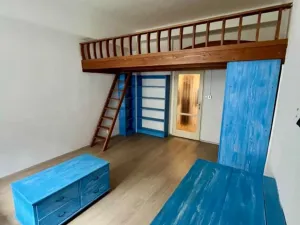 Prodej bytu 1+1, Praha - Žižkov, Malešická, 27 m2