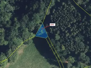 Dražba lesa, Kladky, 183 m2