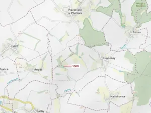 Dražba lesa, Hradčany-Kobeřice, 1221 m2