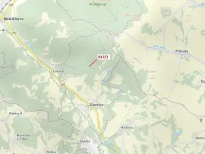 Dražba lesa, Zubrnice, 815 m2