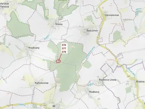 Dražba lesa, Hradčany-Kobeřice, 1703 m2