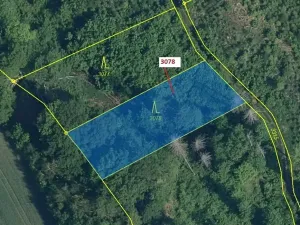 Dražba lesa, Benešov u Semil, 1110 m2