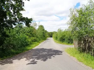 Prodej komerčního pozemku, Jesenice, Rekreační, 10738 m2