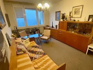 Prodej bytu 2+kk, Praha - Braník, Novodvorská, 40 m2