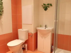 Pronájem bytu 1+kk, Hradec Králové - Pražské Předměstí, Hrubínova, 39 m2