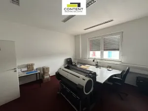 Pronájem skladu, Nupaky, Komerční, 1918 m2