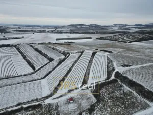 Prodej pozemku, Sedlec, 6224 m2