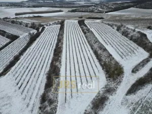 Prodej pozemku, Sedlec, 6224 m2