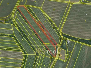 Prodej pozemku, Sedlec, 6224 m2