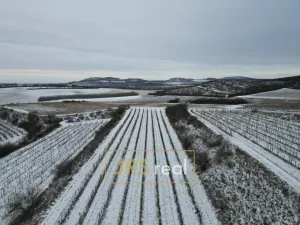 Prodej pozemku, Sedlec, 6224 m2