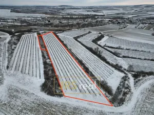 Prodej pozemku, Sedlec, 6224 m2