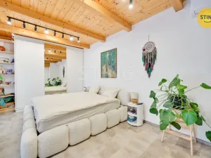 Prodej rodinného domu, Přerov, Hlavní, 200 m2