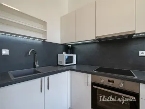 Pronájem bytu 2+kk, Praha - Žižkov, Basilejské náměstí, 49 m2