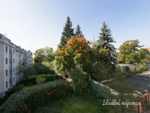 Pronájem bytu 2+kk, Praha - Žižkov, Basilejské náměstí, 49 m2