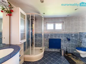 Pronájem rodinného domu, Aš, Březová, 210 m2