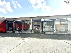 Pronájem obchodního prostoru, Příbram - Příbram VII, Bož. Němcové, 240 m2