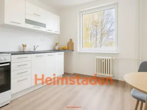 Pronájem bytu 1+1, Albrechtice, Hornická, 38 m2
