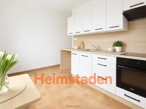 Pronájem bytu 2+1, Havířov - Město, Matuškova, 55 m2