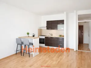 Pronájem bytu 1+kk, Ostrava - Moravská Ostrava, Gen. Píky, 26 m2