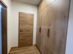 Pronájem bytu 1+kk, České Budějovice, Dobrovodská, 32 m2
