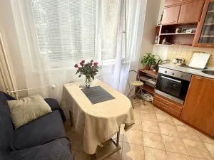 Pronájem bytu 1+1, Jihlava, Telečská, 33 m2