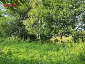 Prodej pozemku pro bydlení, Malá Morava, 1169 m2