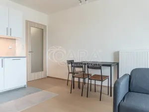 Pronájem bytu 2+kk, Praha - Žižkov, Olgy Havlové, 51 m2