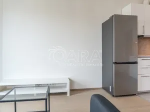 Pronájem bytu 2+kk, Praha - Žižkov, Olgy Havlové, 51 m2