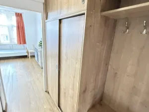 Pronájem bytu 1+kk, Praha - Žižkov, Jeseniova, 26 m2