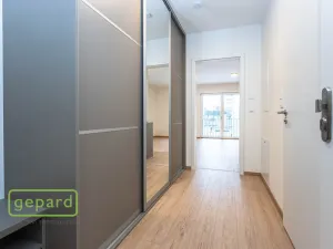 Pronájem bytu 1+kk, Hostivice, Cihlářská, 30 m2