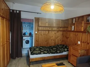 Pronájem bytu 1+1, Liberec, Matoušova, 34 m2