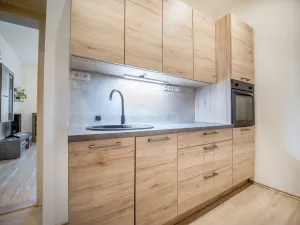 Prodej bytu 2+1, Praha - Žižkov, Malešická, 46 m2