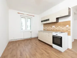 Pronájem bytu 1+1, Ostrava, Palackého, 41 m2