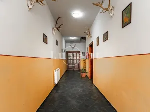 Prodej ubytování, Bělá nad Radbuzou, Náměstí, 800 m2