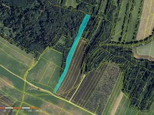 Prodej pole, Ludmírov, 62250 m2
