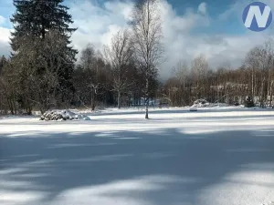 Prodej pozemku pro bydlení, Strážný, 5195 m2