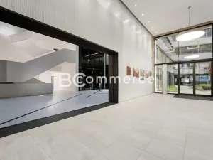 Pronájem kanceláře, Brno, 235 m2