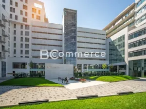 Pronájem kanceláře, Brno, 235 m2