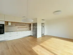 Pronájem bytu 3+kk, Praha - Řepy, U Lesoparku, 100 m2