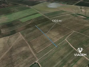 Prodej pole, Prušánky, 1303 m2