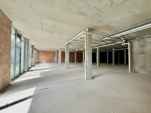 Pronájem obchodního prostoru, Hradec Králové, Kollárova, 3447 m2