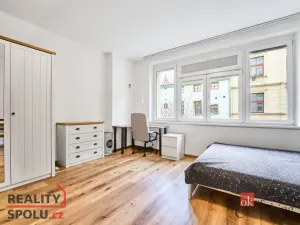 Pronájem bytu 1+kk, Brno - Trnitá, Špitálka, 30 m2