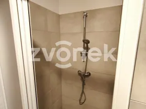 Pronájem bytu 2+kk, Holešov, Palackého, 55 m2