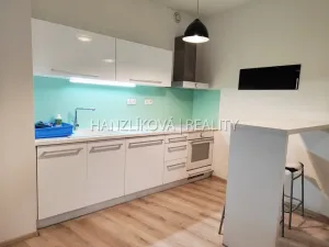 Pronájem bytu 1+kk, České Budějovice - České Budějovice 2, Volejbalistů, 42 m2