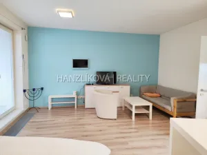 Pronájem bytu 1+kk, České Budějovice - České Budějovice 2, Volejbalistů, 42 m2