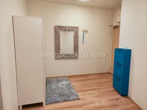 Pronájem bytu 1+kk, České Budějovice - České Budějovice 2, Volejbalistů, 42 m2