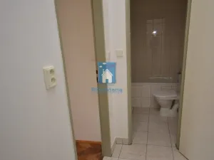 Pronájem bytu 1+kk, Plzeň, Zámečnická, 25 m2