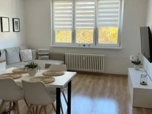 Pronájem bytu 3+kk, Opava - Předměstí, Skřivánčí, 70 m2