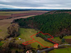 Prodej pozemku pro bydlení, Plasy - Babina, 6000 m2
