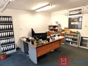 Prodej obchodního prostoru, Znojmo, Velká Michalská, 326 m2